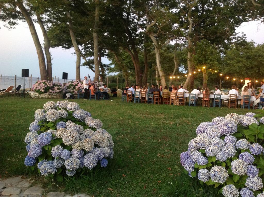 Archondissa Beach Aparthotel แตร์มา ภายนอก รูปภาพ