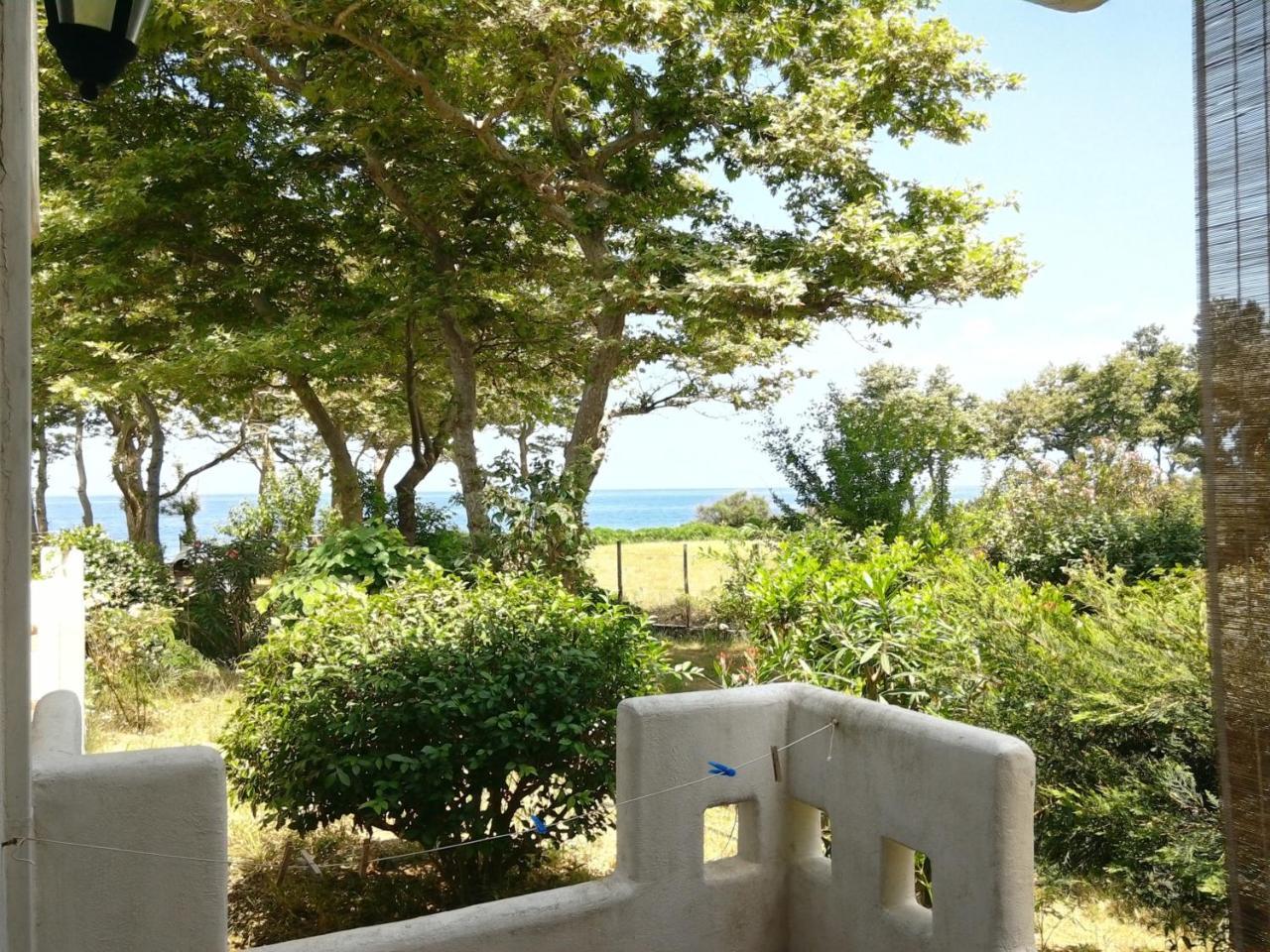 Archondissa Beach Aparthotel แตร์มา ภายนอก รูปภาพ